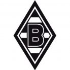 Der Verein